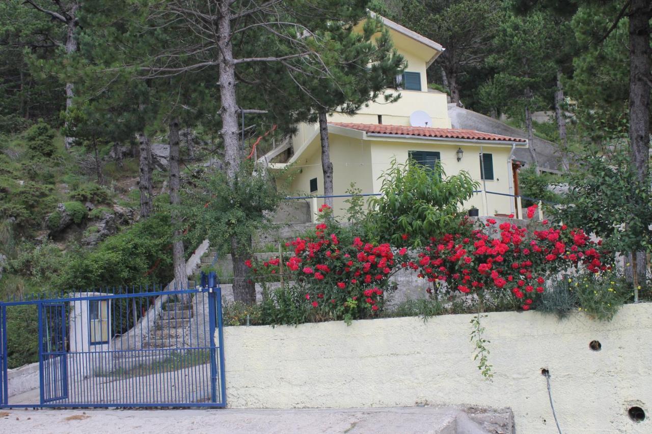 Apartmán Eagle'S Nest Palase Exteriér fotografie